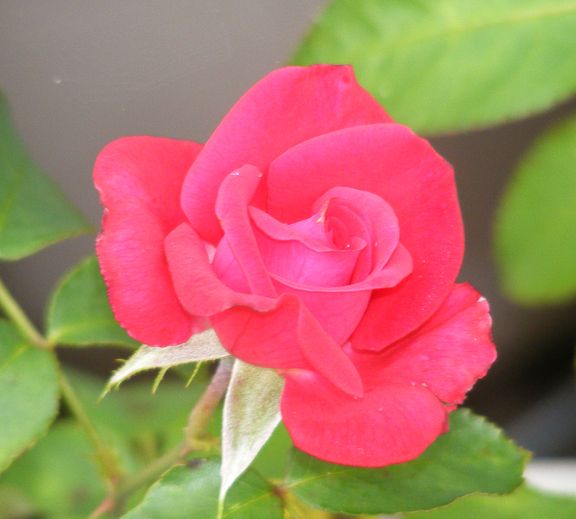 Power Point photo pwp2014_08020024_zps0ad82a80.jpg